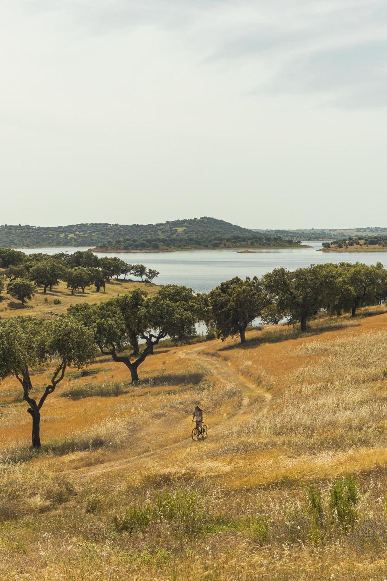 Herdade Dos Delgados Моран Экстерьер фото