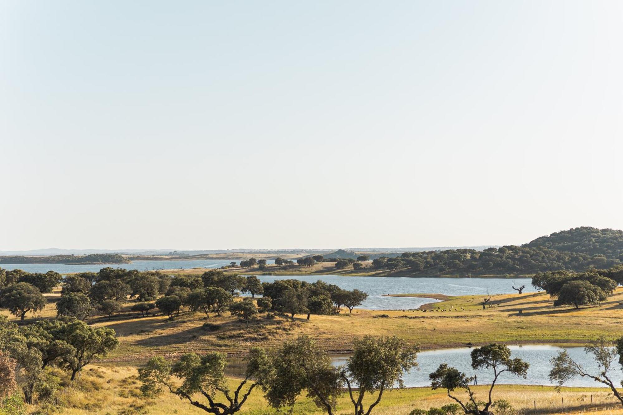 Herdade Dos Delgados Моран Экстерьер фото